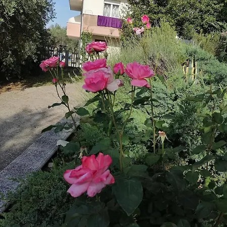 La Vie En Rose Tatil Evi *