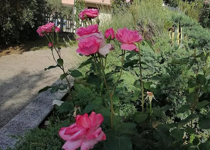 La Vie En Rose بيت للعطل *