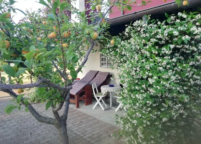 La Vie En Rose بيت للعطل